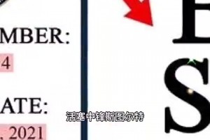 黑红也是红？斯图尔特当年猛冲老詹后，去注册了商标